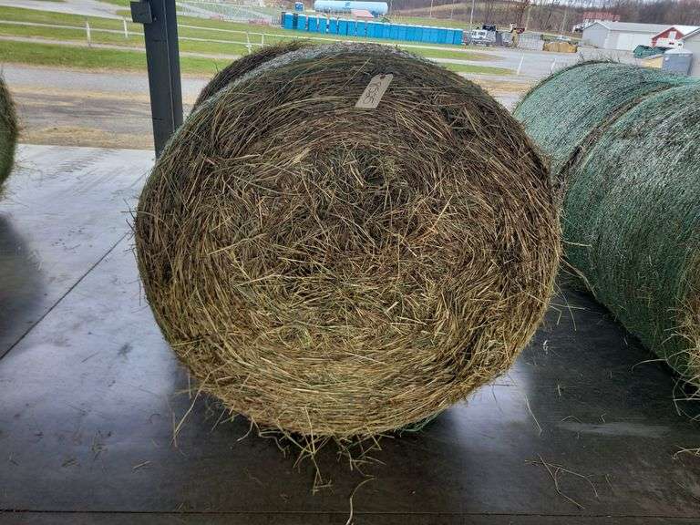 2 Round Bales 1st Timothy Orchard Grass (4x4) Stored Inside
