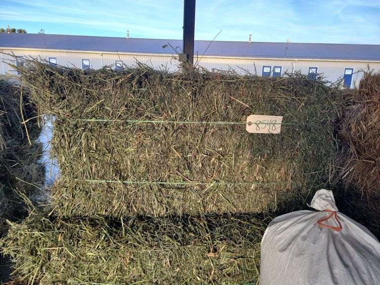 5 3rd Alfalfa "Excellent Quality"