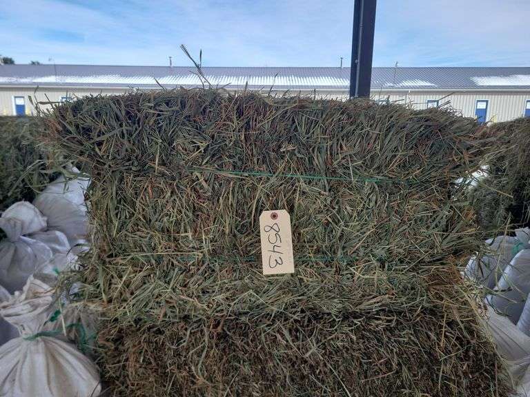 15 2nd Timothy Orchard