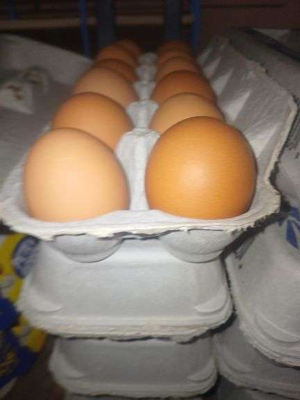 4 Doz Brown Medium Eating Eggs