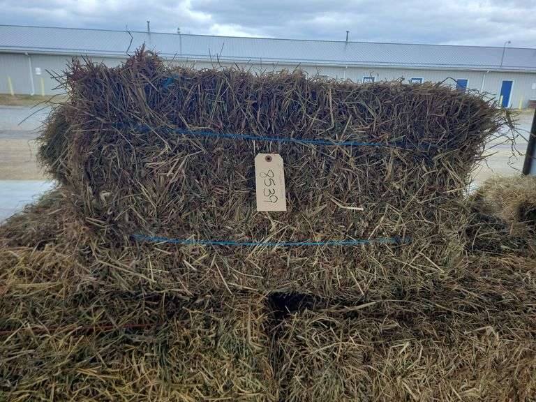 20 1st Orchard Grass Timothy