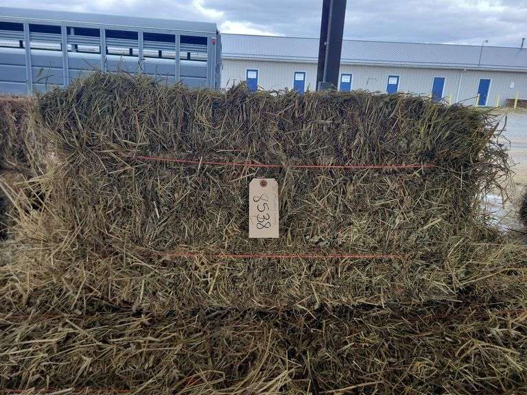 20 1st Orchard Grass Timothy