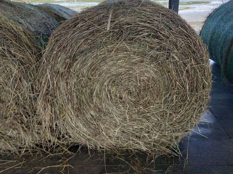 2 Round Bales 1st Tim Orch Grass Mix (4x4) Stored Inside