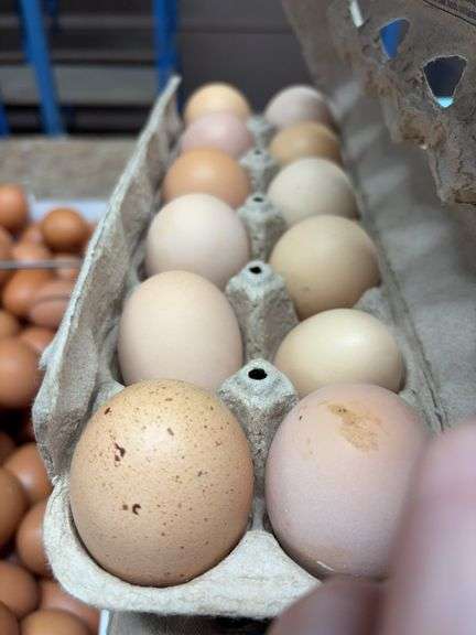 4 Doz Mixed Eating Eggs