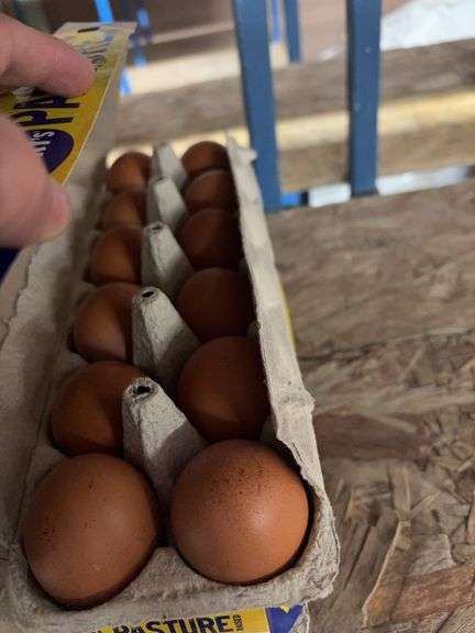 4 Doz Brown Eating Eggs