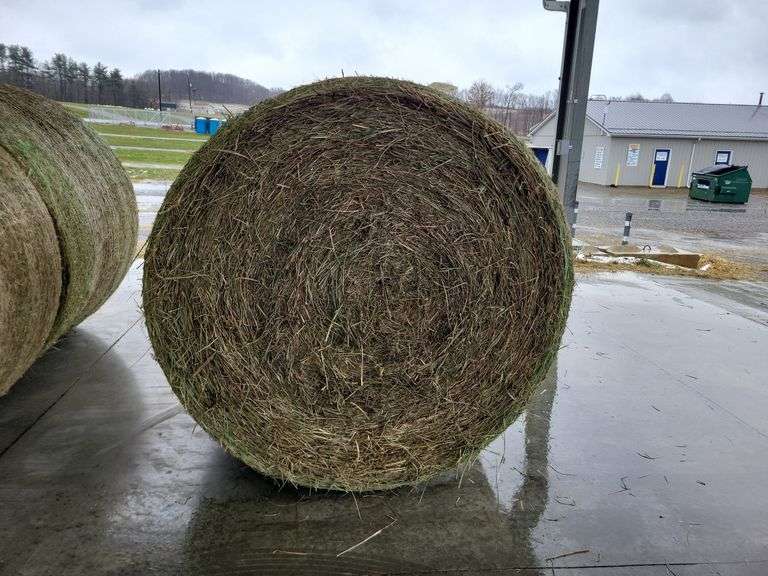 1 Round Bale 2nd Timothy Orchard Grass Mix (4x5) Stored Inside