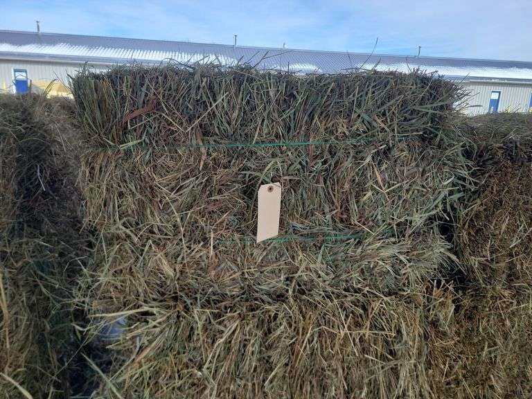 24 1st Timothy Orchard