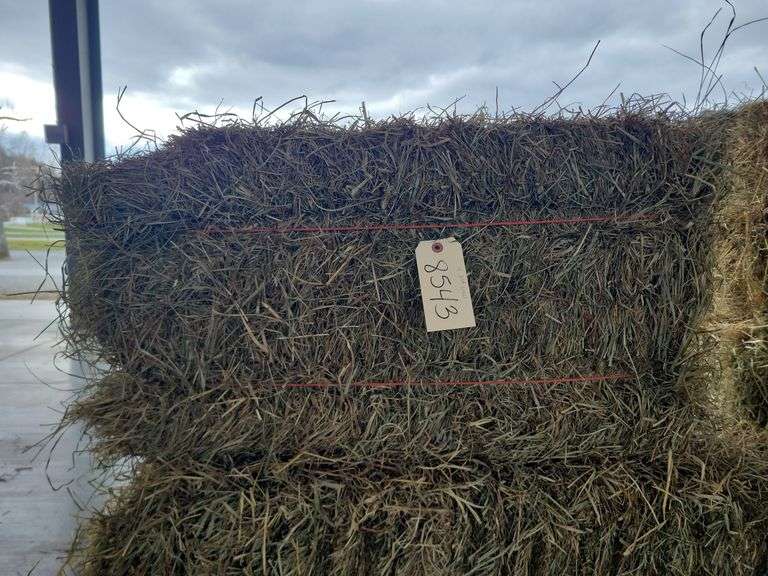 4 2nd Grass