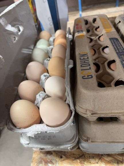 6 Doz Mixed Eating Eggs