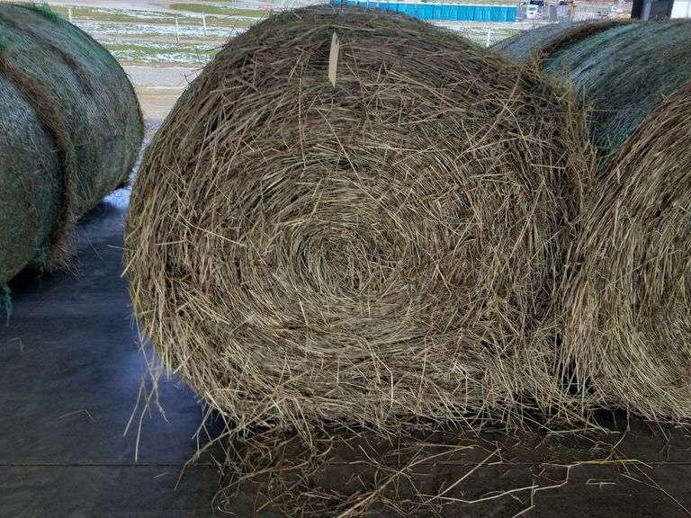 2 Round Bales 1st Tim Orch Grass Mix (4x4) Stored Inside