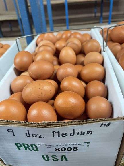 9 Doz Medium Brown Eating Eggs