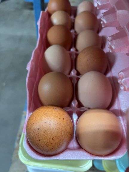 4 Doz Mixed Eating Eggs