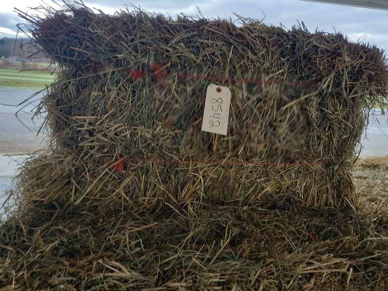 20 1st Orchard Grass Timothy - Floor Bales