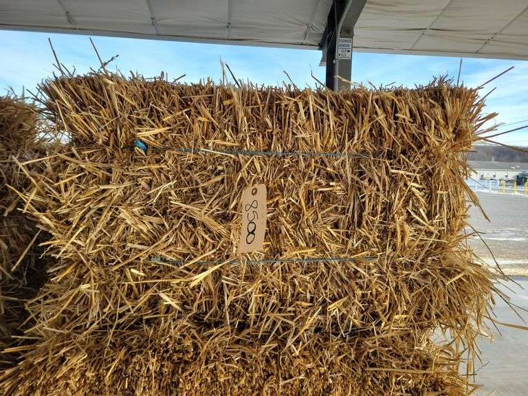 20 Wheat Straw