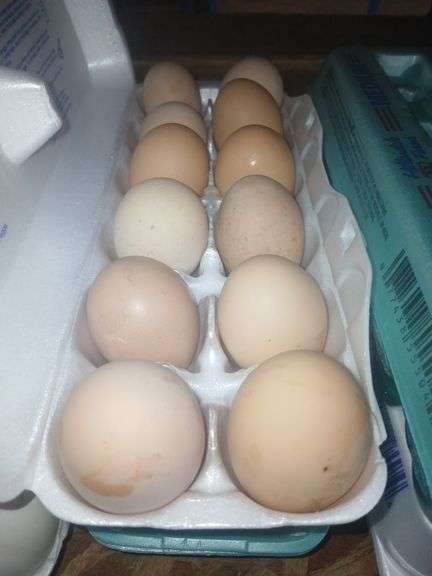2 Doz Medium Brown Eating Eggs