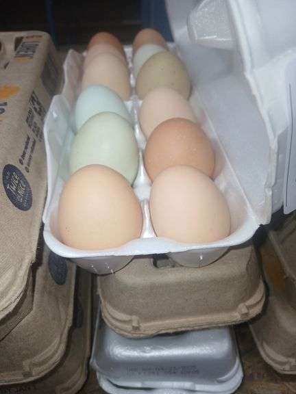 3 Doz Mixed Eating Eggs