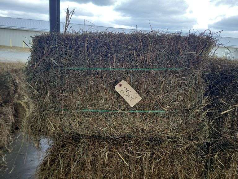 24 1st Timothy Orchard