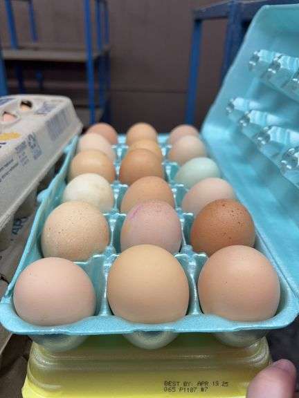 6 Doz Mixed Eating Eggs