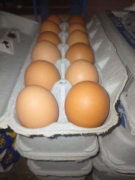 4 Doz Brown Medium Eating Eggs