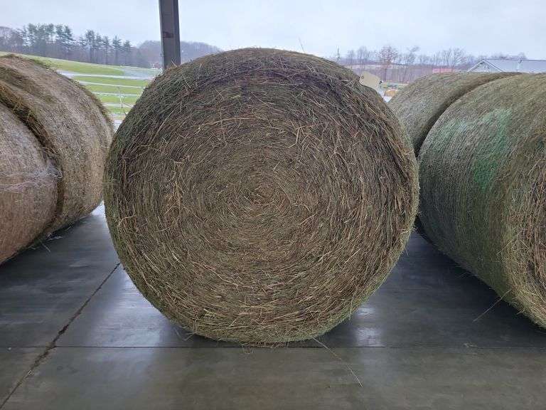 2 Round Bale 1st Timothy Orchard Grass Mix (4x5) Stored Inside