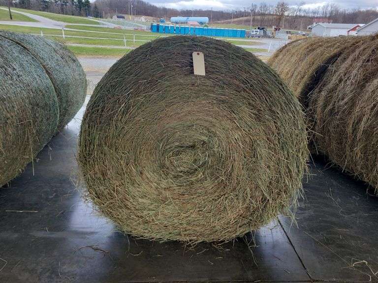 2 Round Bales 2nd Timothy Orchard Grass (4x4) Stored Inside