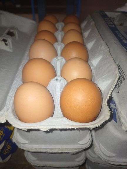 4 Doz Brown Medium Eating Eggs