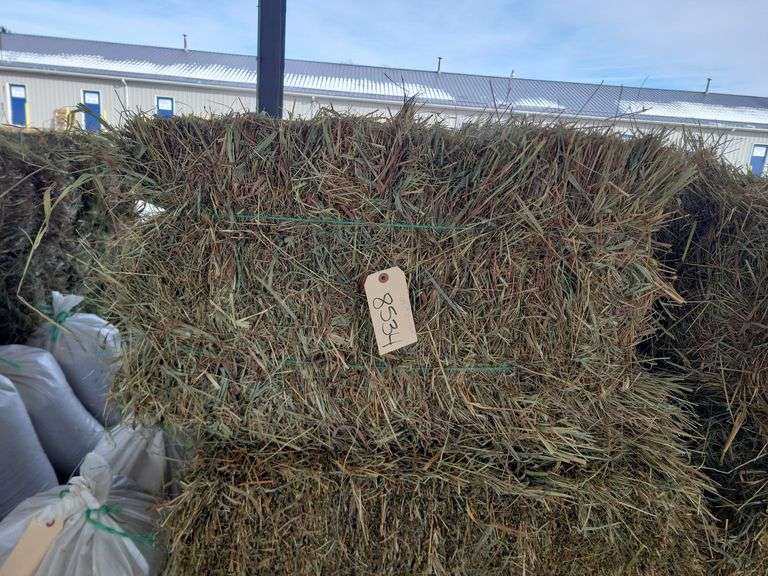 24 1st Timothy Orchard