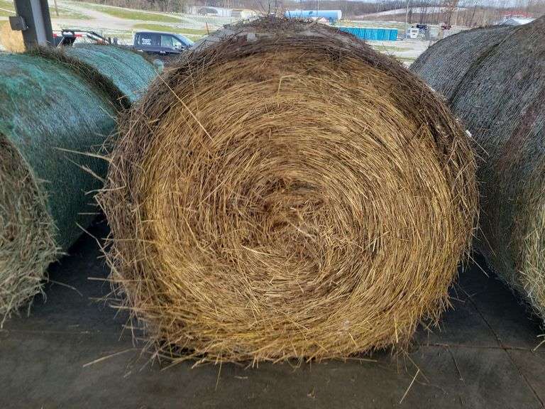 2 Round Bales 1st Timothy Orchard Grass (4x4)