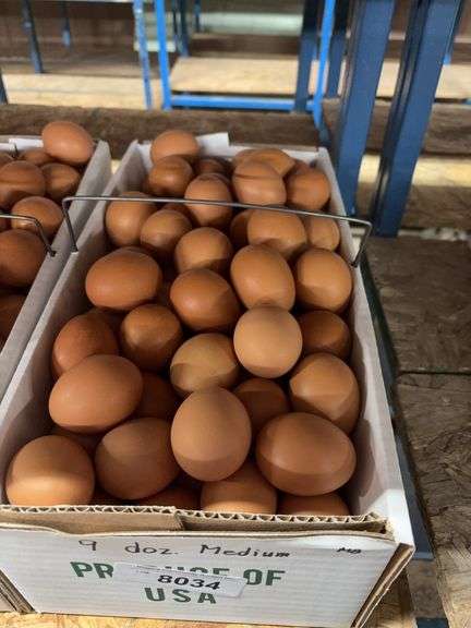 9 Doz Medium Brown Eating Eggs