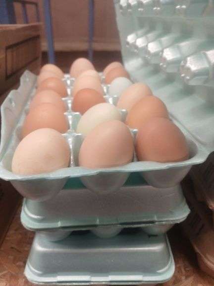 4.5 Doz Mixed Eating Eggs