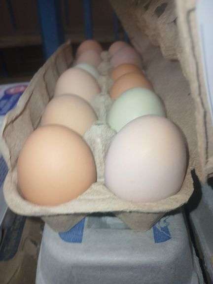 3 Doz Mixed Eating Eggs