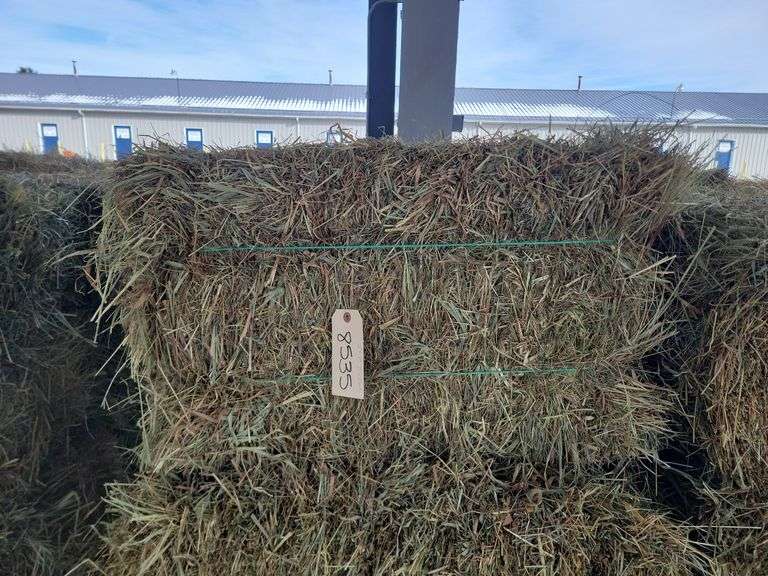 24 1st Timothy Orchard