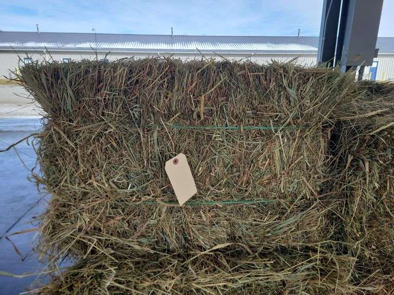 24 1st Timothy Orchard