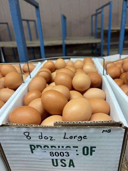 8 Doz Large Brown Eating Eggs
