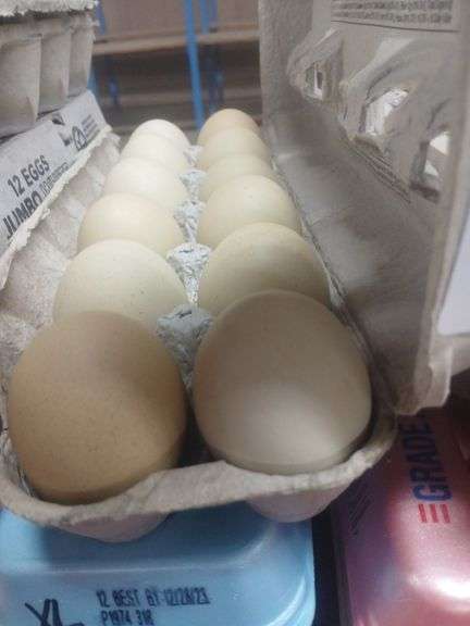 3 Doz Xlarge Eating Eggs - 1 Green & 2 Brown