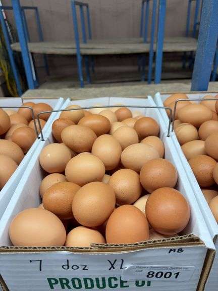 7 Doz Xlarge Brown Eating Eggs