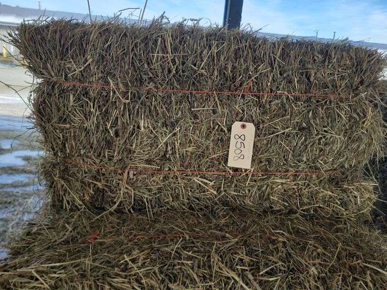 15 1st Timothy Orchard Grass Mix