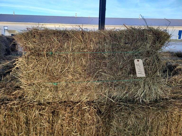 25 1st Grass Mix
