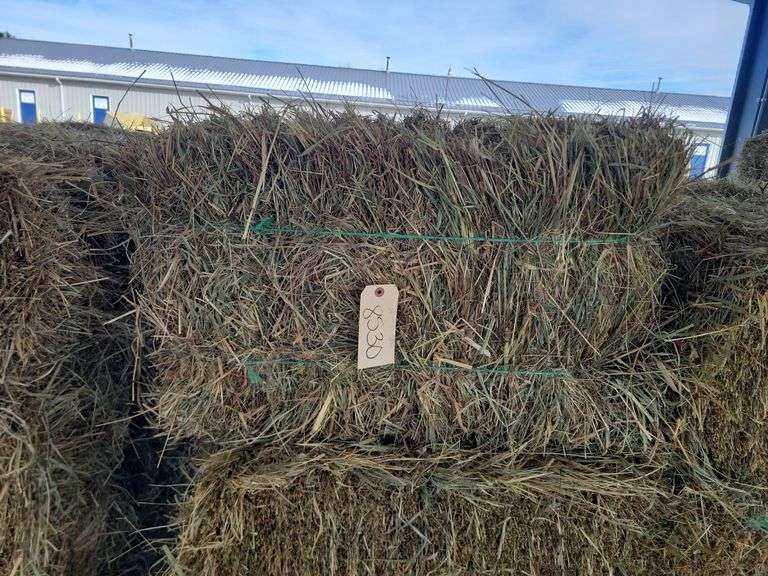 24 1st Timothy Orchard