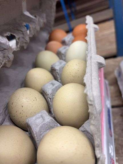 3 Doz Mixed Eating Eggs