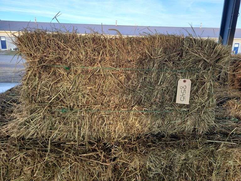 25 1st Grass Mix