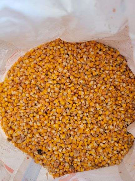 3 Bags Shelled Corn