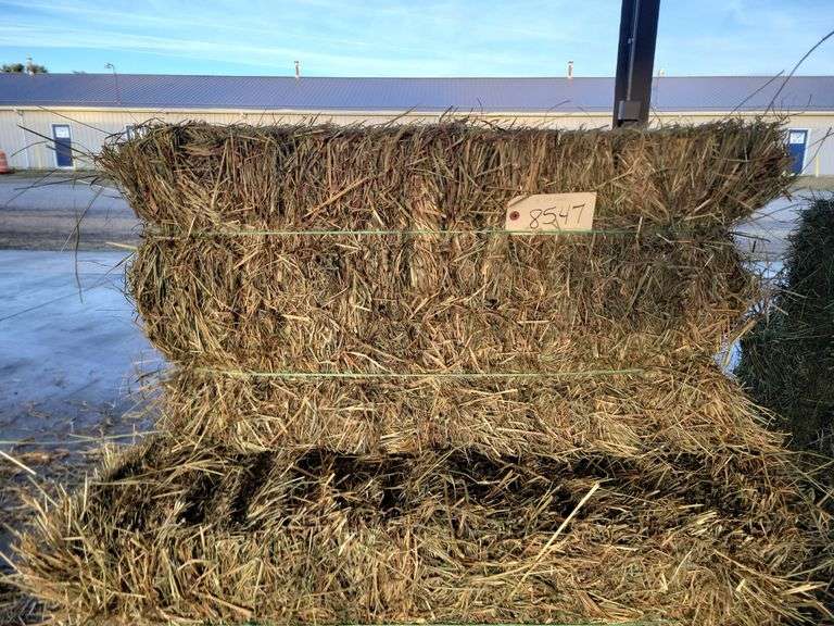 5 1st Grass
