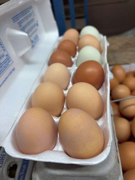 4 Doz Jumbo Mixed Eating Eggs