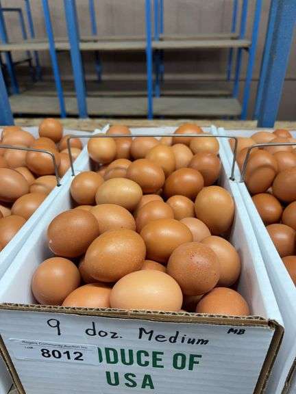 9 Doz Medium Brown Eating Eggs