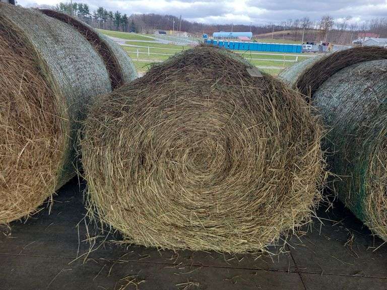 2 Round Bales 1st Timothy Orchard Grass (4x4) Stored Inside