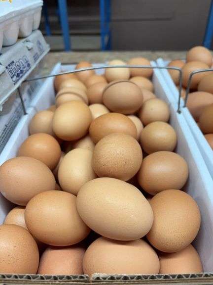 7 Doz Xlarge Brown Eating Eggs