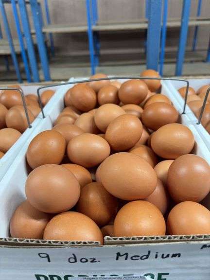 9 Doz Medium Brown Eating Eggs