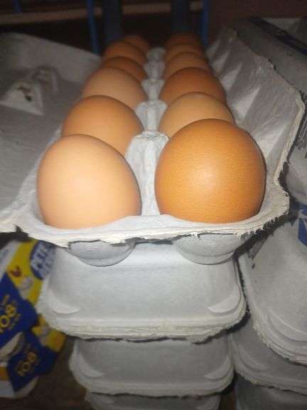 4 Doz Brown Medium Eating Eggs