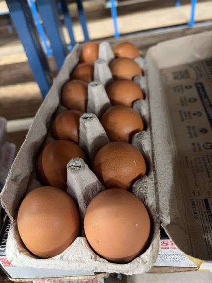 5 Doz Brown Eating Eggs